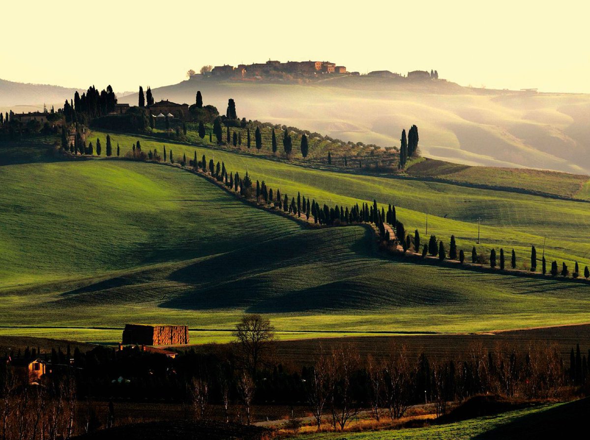 bonhams1793's tweet photo. In celebration of #Summer, discover the best Super-Tuscan wines advised by award-winning wine writer, Margaret Rand in #BonhamsMagazine 
https://t.co/yohyhGl6gD https://t.co/8gpHapMMzG