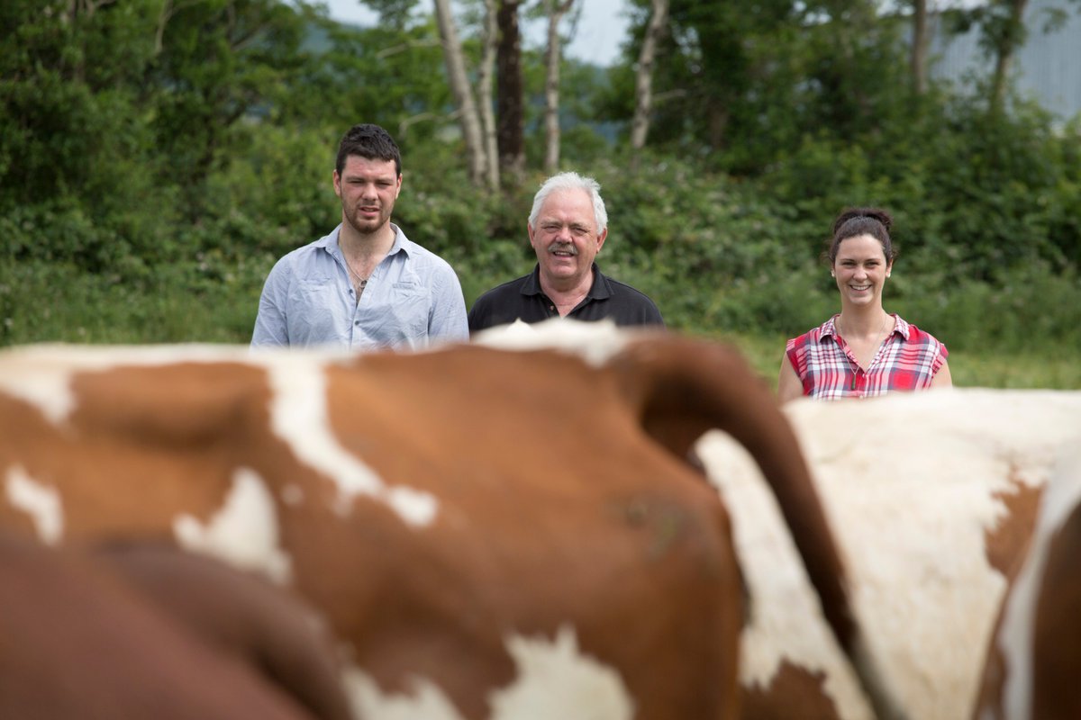 EASYFIXOfficial's tweet photo. We're heading to Wicklow this week for an Open Day at Brockna Dairies supported by @EasyFixOfficial @DairyPowerEquip @AllenDairy @Agrimat_Paul @dairymaster @bankofireland Find out more https://t.co/C5Zl0dCYZA https://t.co/YQXQeqQkOi
