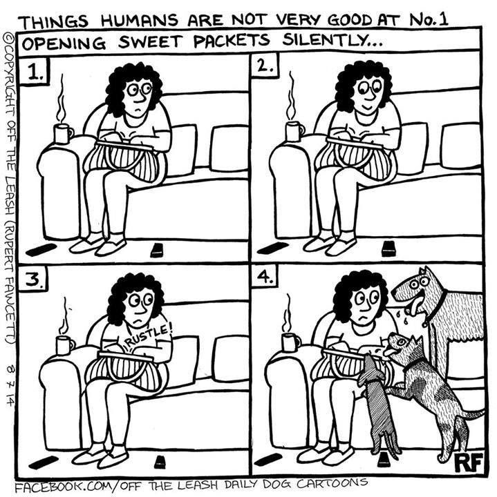 RupertFawcett's tweet photo. Things Humans Are Not Very Good At!
#dogs #sweeties #offtheleash #rupertfawcett #snifferdogs https://t.co/hy9OTcuvke