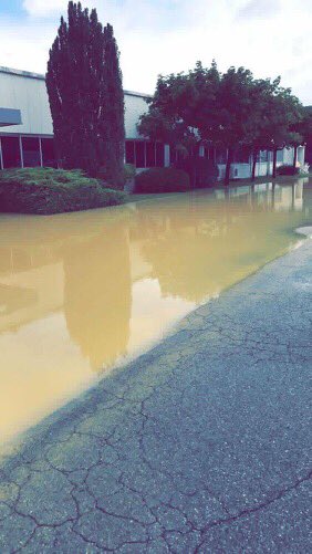 Meteo_Pyrenees's tweet photo. Usine inondĂ©e Ă #semeac #tarbes #hautespyrenees #meteo65 @VISOV1 đ·Laeticia Dhrt https://t.co/HGqEEOmpmP