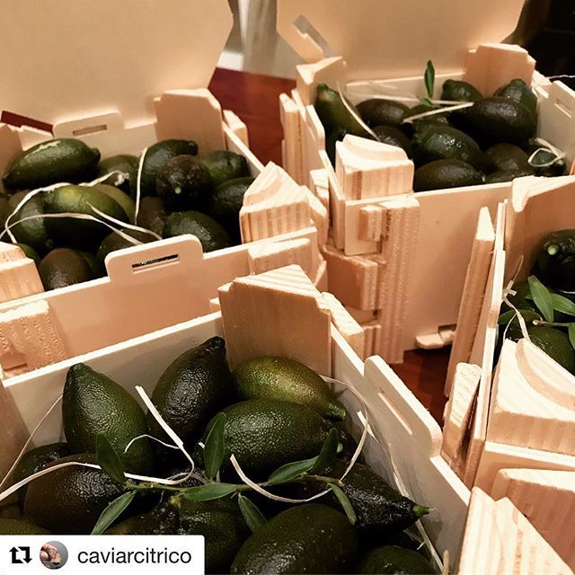 sinclabox's tweet photo. Chulísimas las cajitas con los productos de @caviarcitrico 😋💚 #caviarcitrico #sinclabox #cajasdemadera #premium #gourmet #biodegradable #reciclable #ecológica #singrapas #sinpegamento #sinclavos #frutasyverduras #cajasdemadera #woodenboxes #embalaje #packaging https://t.co/zUiD9pqpLL