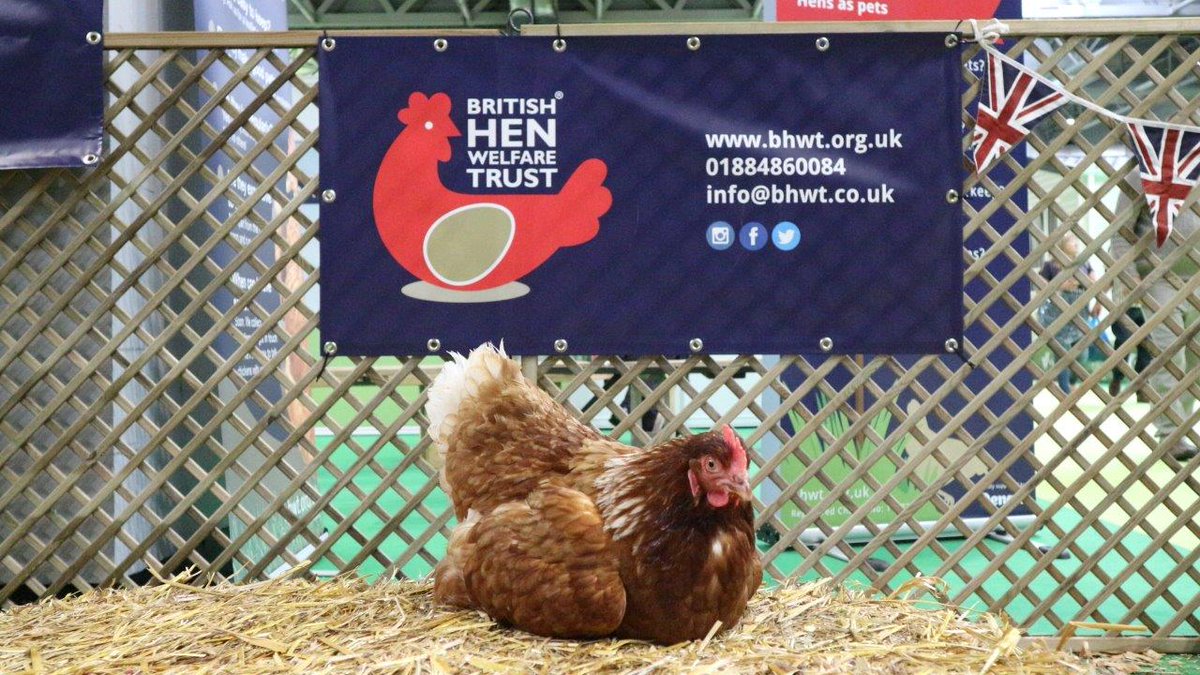 We'll be at <a href="/Countryfilelive/">BBC Countryfile Live</a> from 3-5 August with <a href="/PoultryTalk/">Poultry Talk. com</a> and <a href="/AdamHenson/">Adam Henson</a> - come find us and have a hen cuddle! You can also #AskTheFarmer any questions you may have about the industry. #freerange #happyhens