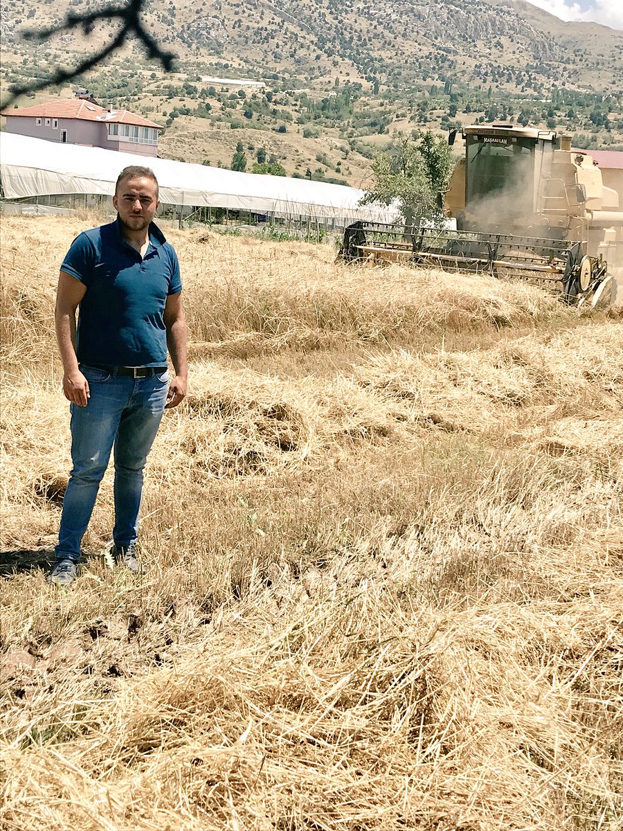 Ayrılıkmı olur harman zamanı ..