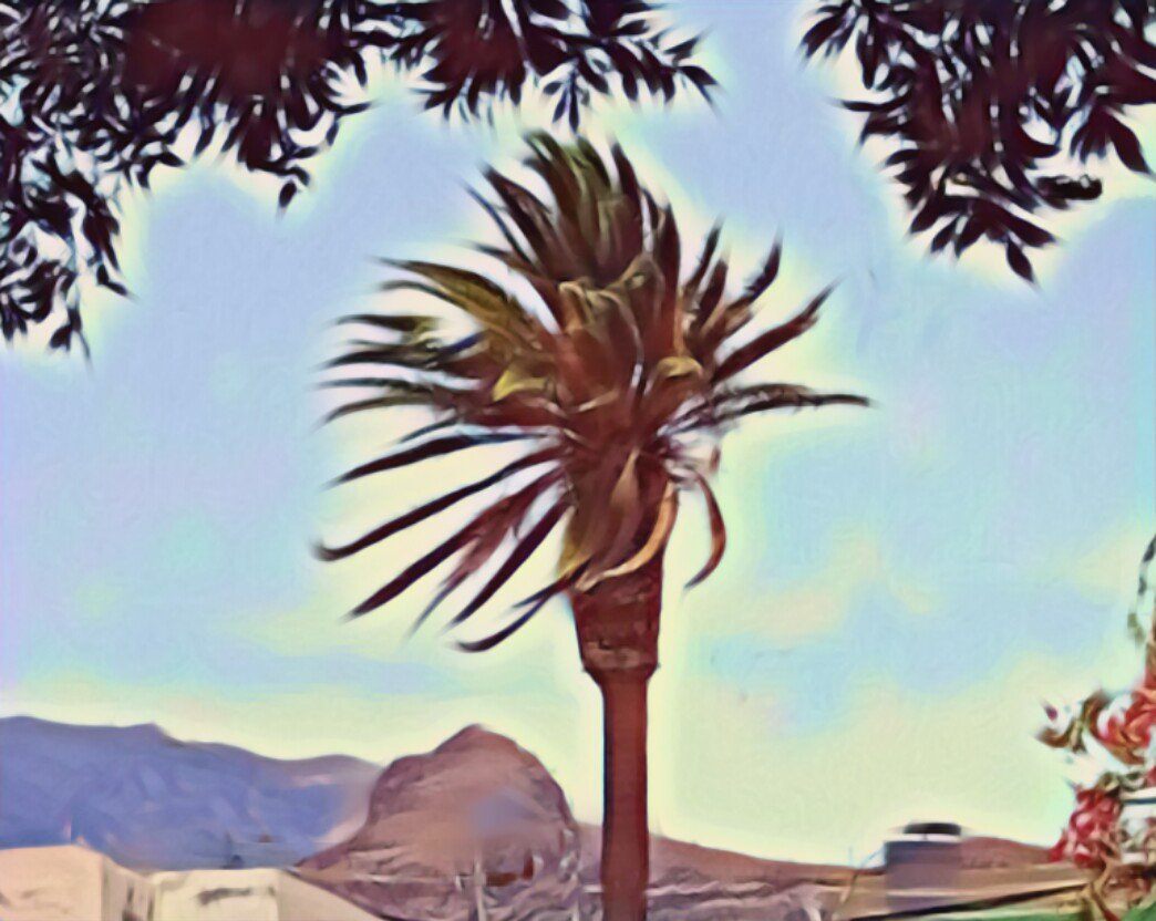 Tomás Doreste tweet media