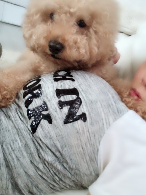 そしてマウントされてさらに暑い😅 https://t.co/7qpGQsJMp3<a href="/tag/ps4share"class="tags"><span>#ps4share</span></a>