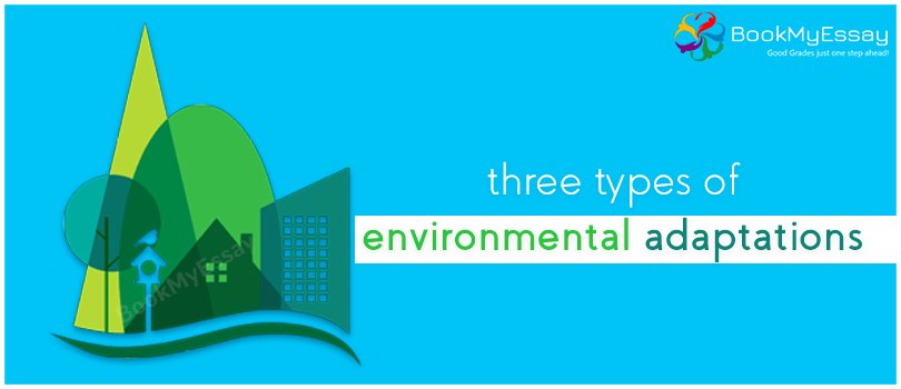 Book_My_Essay's tweet image. Three #Types of #Environmental Adaptations- Explored and Explained Here | #EnvironmentalAssignmentHelp @Book_My_Essay - goo.gl/9iJ5NW