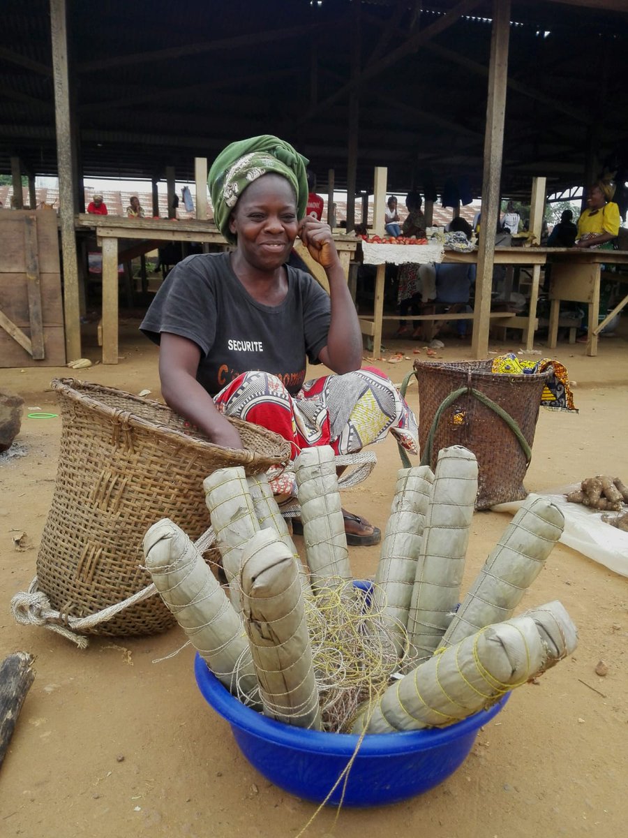 AliseiOng's tweet photo. Cresce il numero delle associazioni sostenute dal progetto: a #Kinsiete, gli #agricoltori del gruppo Oneres mentre preparano i bastoni di #manioca avvolti in foglie per la vendita nel #mercato di #Mossendjo.
#Congo #Niari #Africa #foodsecurity #sviluppo #agricoltura #donne https://t.co/0c6dunTOSX