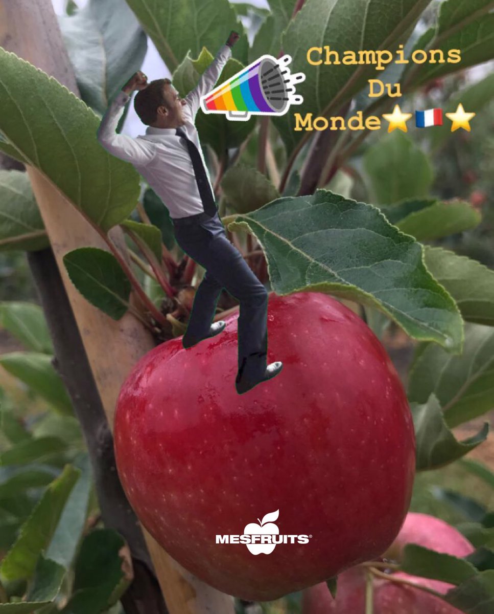 mesfruits's tweet photo. L'Ambiance est au beau fixe aujourd'hui dans nos vergers ⭐️🇫🇷⭐️ #championsdumonde #nouveauspecimen #biodiversité😜🤣 #macronmème #macrondansnosvergersecoresponsables https://t.co/knwbWxBaY0