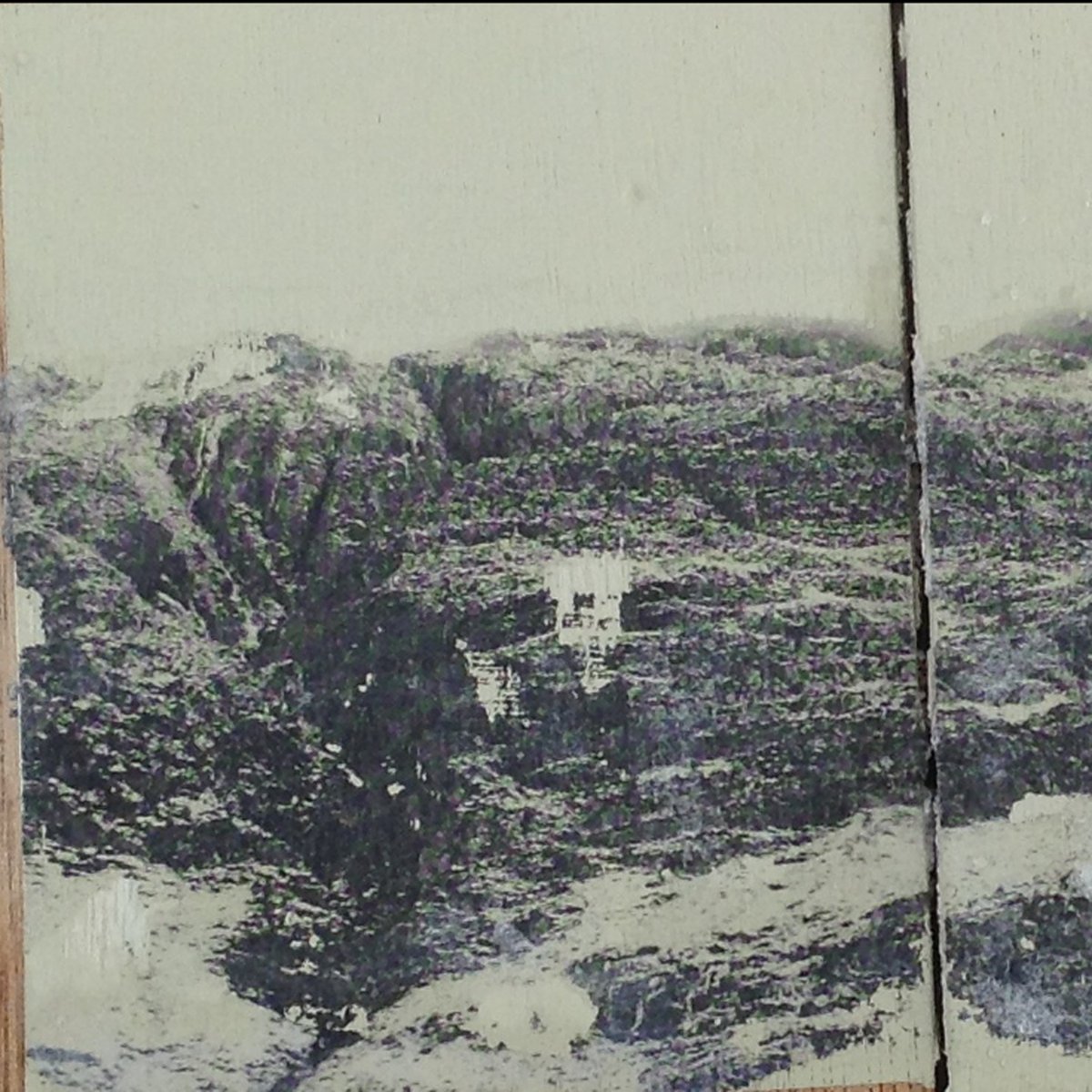 Parker Lee tweet media