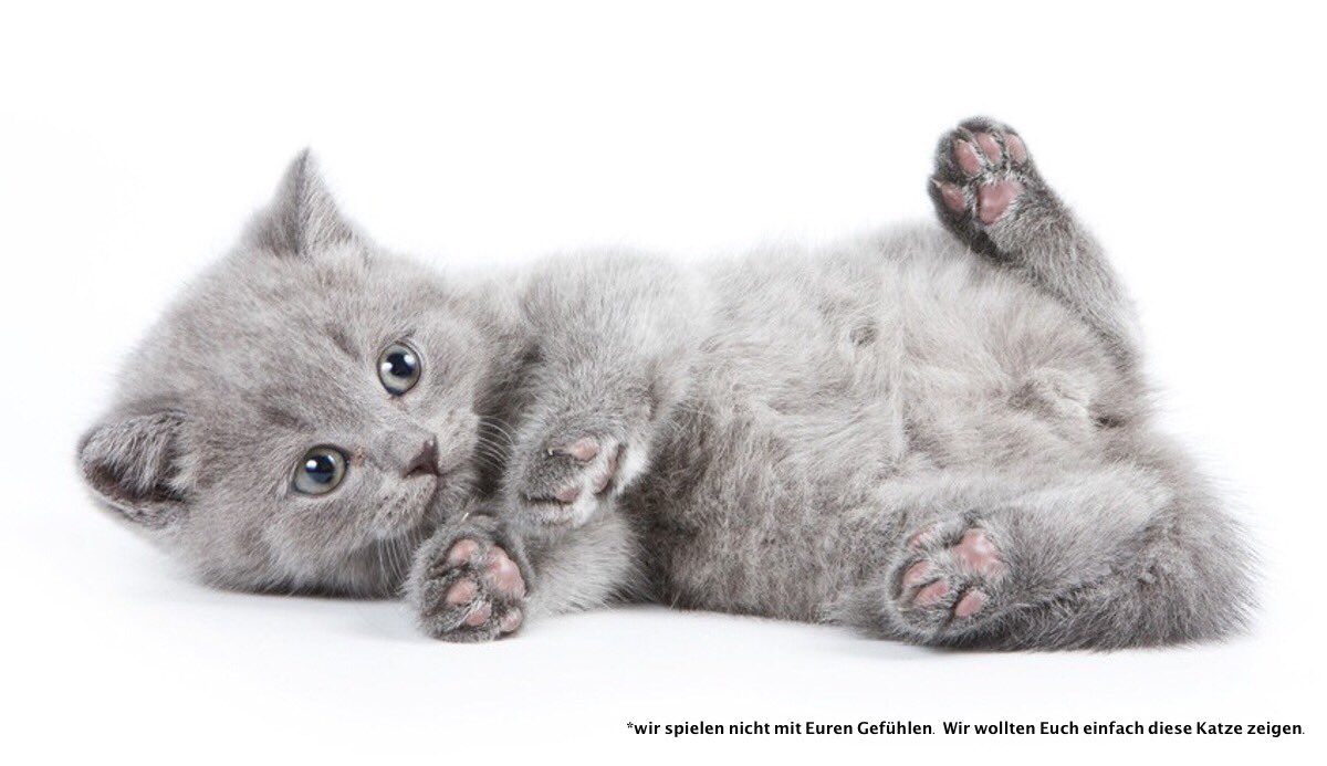 EINHUNDERT Energie tweet media