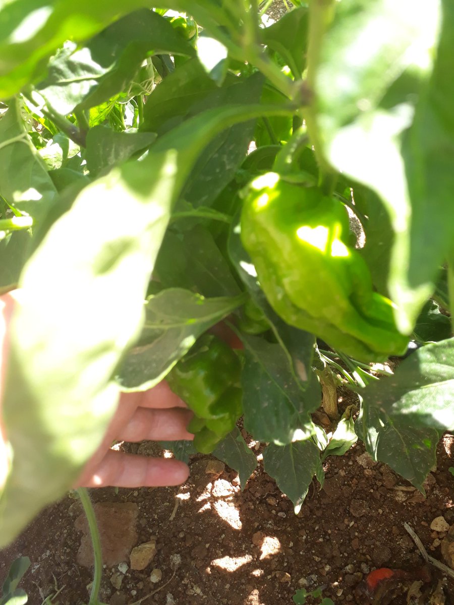 Anneanne köyünden döndüm 👀