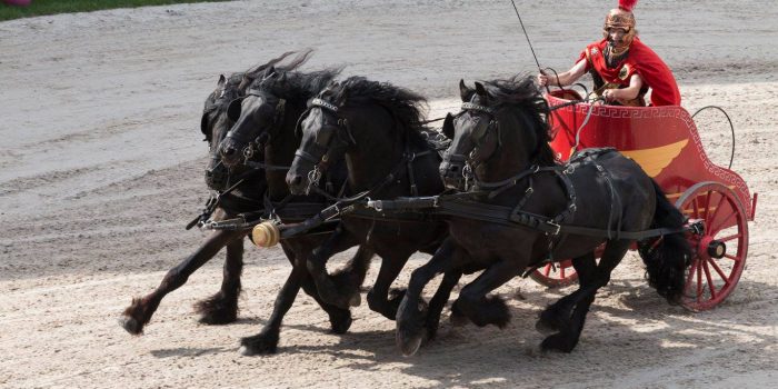 InHurdegaryp's tweet photo. Beleef de Hynstedagen 2018! Al 20 jaar een groots Fries paardensportevent in Fryslân! - https://t.co/N56p7O28dB https://t.co/FUamlpLrKz
