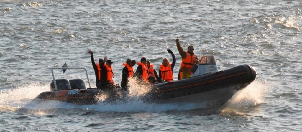 ScubaCoRSA's tweet photo. There have been loads of happy faces on #Sardinerun2018 despite the cold / fresh mornings. Thanks to everyone who worked hard to make our 2018 Sardine Run season a success! 
We are looking forward to a fabulous #Sardinerun2019

Book your spot for 2019 info@scubaco.co.za https://t.co/GJc5QqE4NU