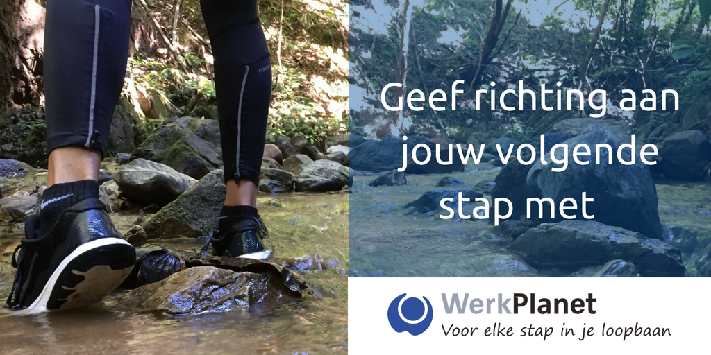 WerkPlanet tweet media