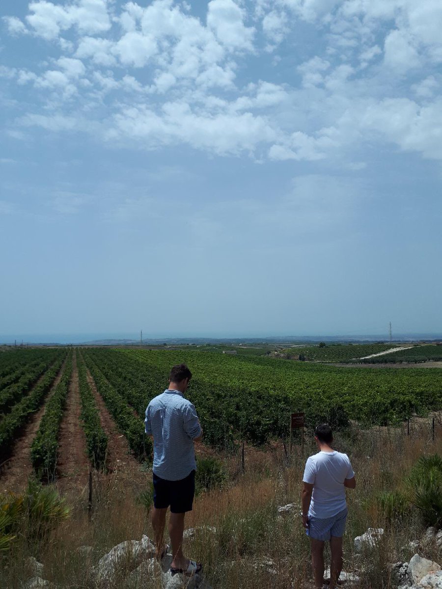 EnotriaCoe's tweet image. Monday with @mandrarossavini #EConTour #Sicily #vineyardtour #winepeople