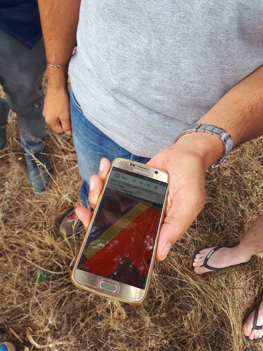 EnotriaCoe's tweet image. Monday with @mandrarossavini #EConTour #Sicily #vineyardtour #winepeople