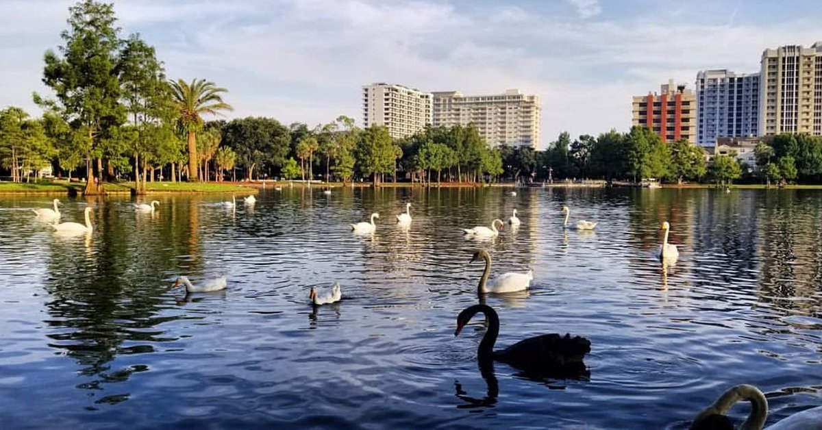 Let's make today the start of a great week! #HappyMonday ☀️

📸: @cuzzintruckphotos via Instagram