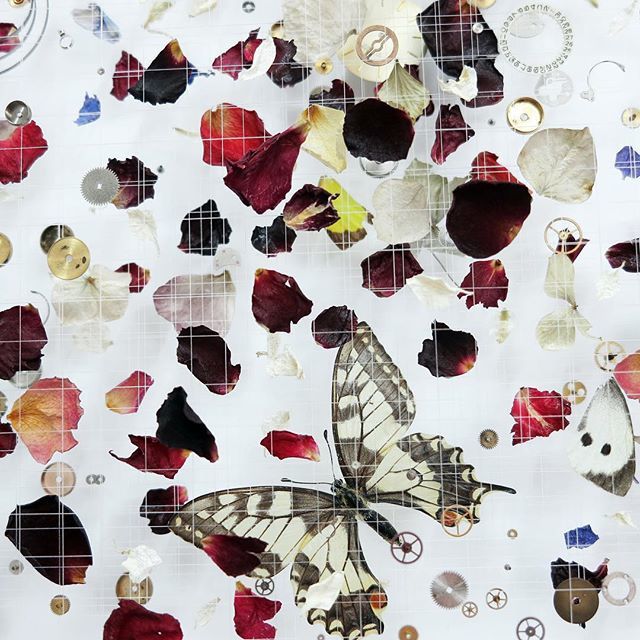 45ParkLaneUK's tweet photo. Our current exhibitor, @annamastersart, incorporates butterflies into her artwork, creating intricate masterpieces 🦋 #DCmoments #45parklane #dorchestercollection https://t.co/FEwJ9DbLXo https://t.co/1C63DWdbQn