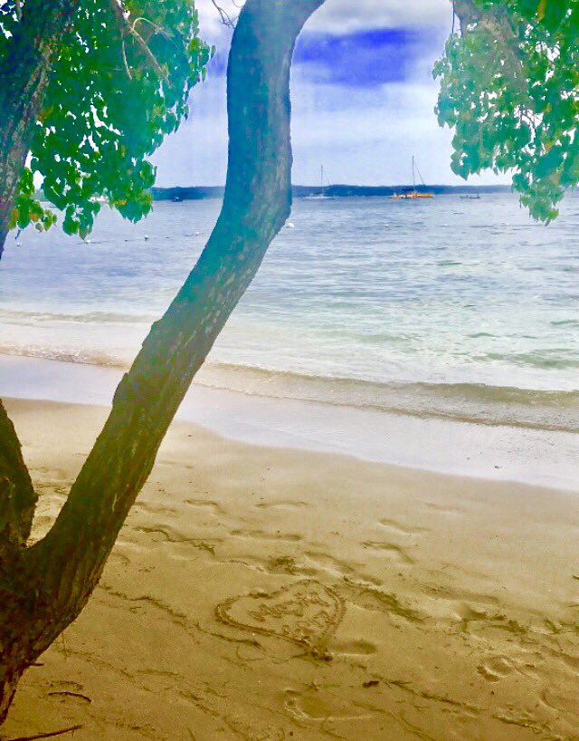 sheerparties's tweet photo. #RATHERBENUDE Hedonism, Negril Jamaica “nothing like it” https://t.co/8BXJ5AwaEi