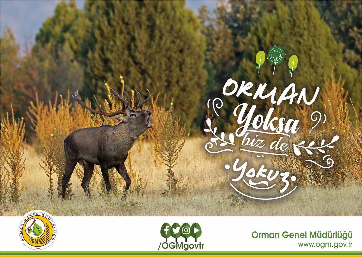 Orman Her Mevsim Güzel  #OrmanYoksaBizdeYokuz