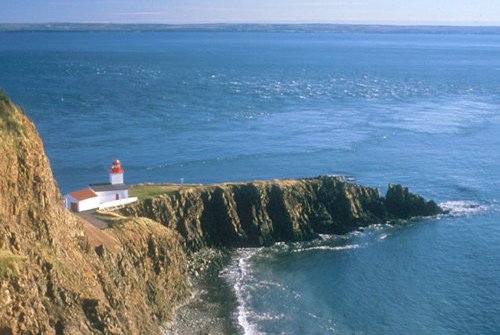 Net Zero Atlantic tweet media