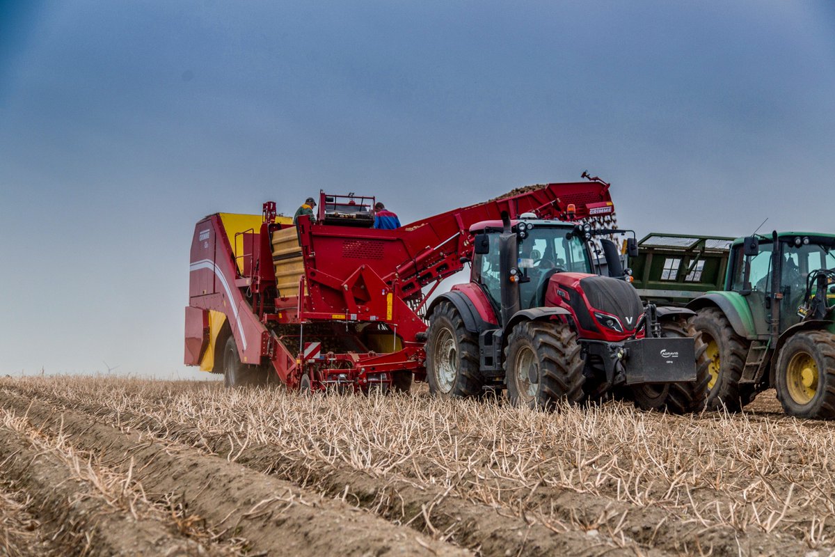 GRIMMEGroup's tweet photo. #PotatoMonday
The latest innovation from GRIMME - the EVO 290 AirSep, which is equipped with the original GRIMME NonstopBunker. Pictures from the harvest 2017.
#GRIMME #GRIMMEGroup #AirSep #harvest https://t.co/cZrIS3h6eS