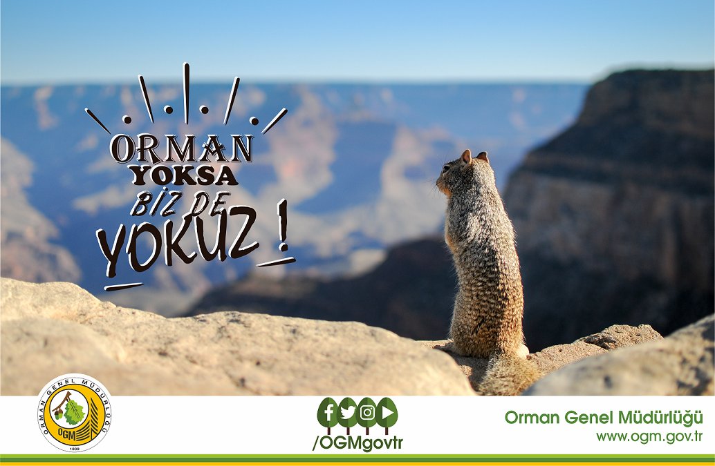 Ağaç Her Mevsim Güzel  #OrmanYoksaBizdeYokuz