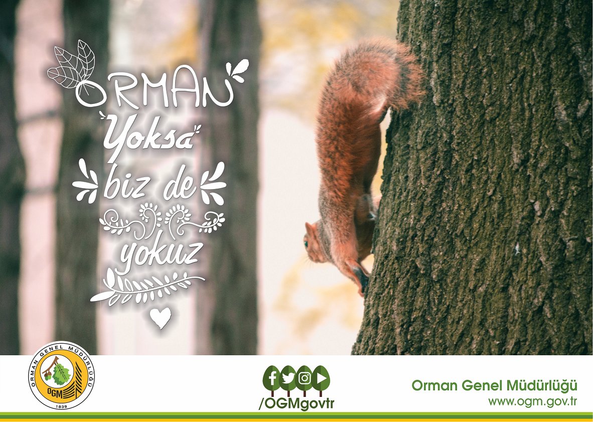 #OrmanYoksaBizdeYokuz Daha Güzel Gelecekte