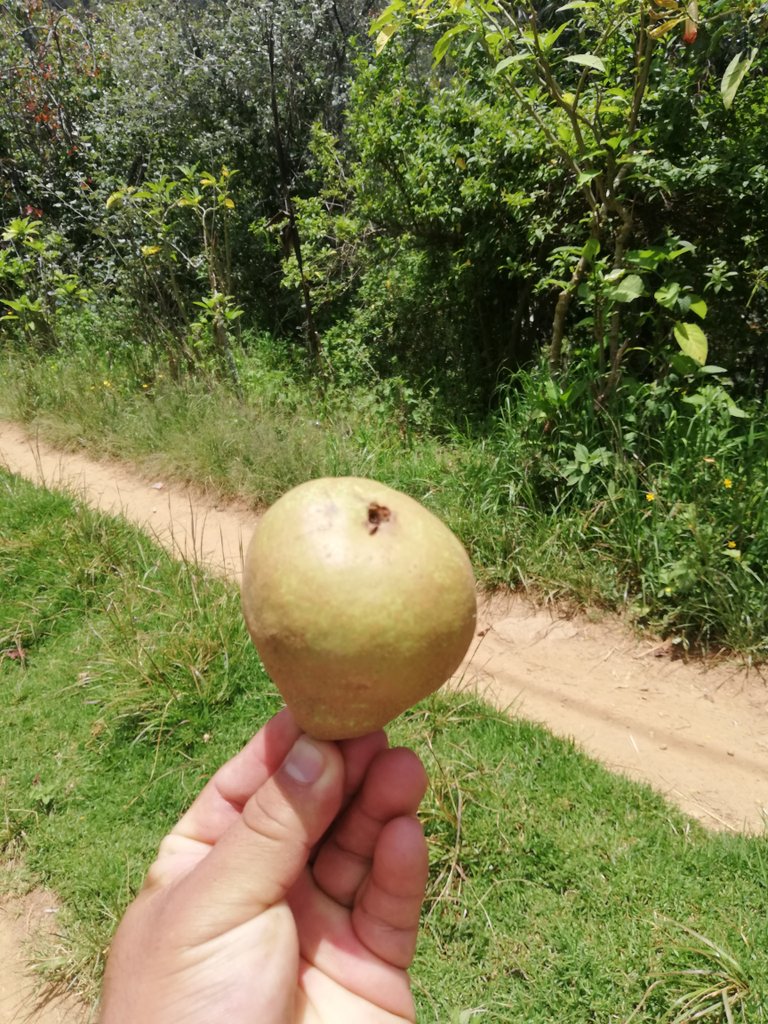 EstebancitoHern's tweet photo. Qué más quieres de mi?
La vida te estoy dando. https://t.co/jouqQ9ulO6