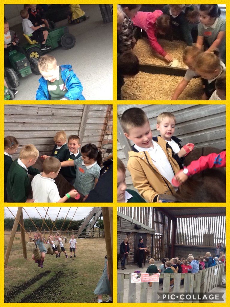 YearRBedford's tweet photo. What a fantastic reception trip to Farmer Teds... 
We had lots of fun!  https://t.co/OO03XqWHSR https://t.co/bRPQeh3TbD