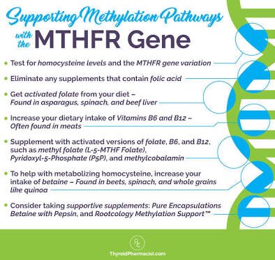 By: Dr. Isabella Wentz 🙌 #mthfr #mthfrawareness #methylation #healthcare #health #mthfrgene #genemutation #folate #folic