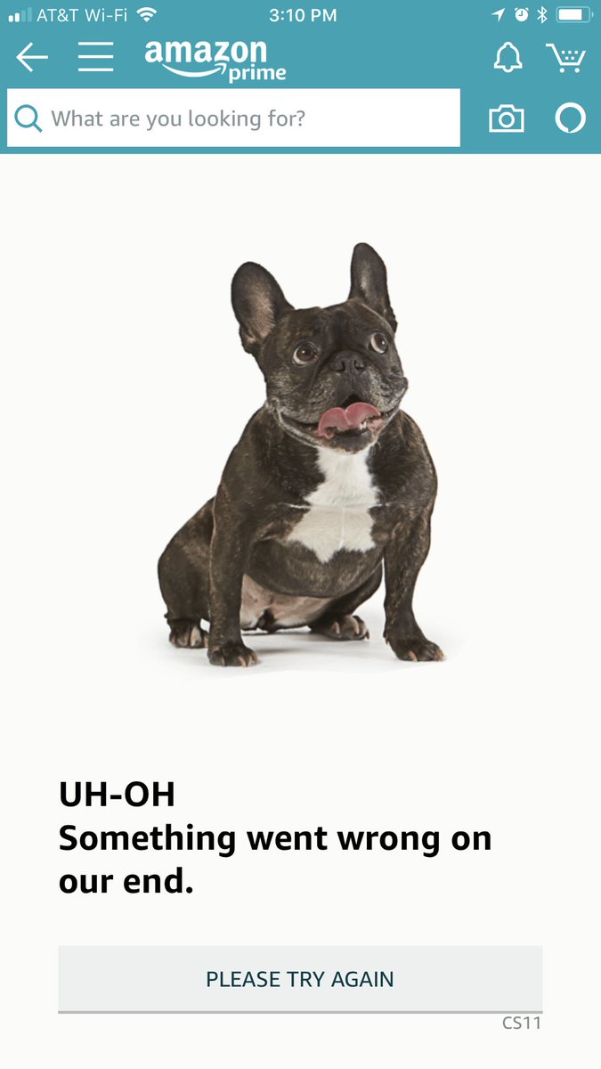 Michelle Buckingham (MitchyChick) Twitter