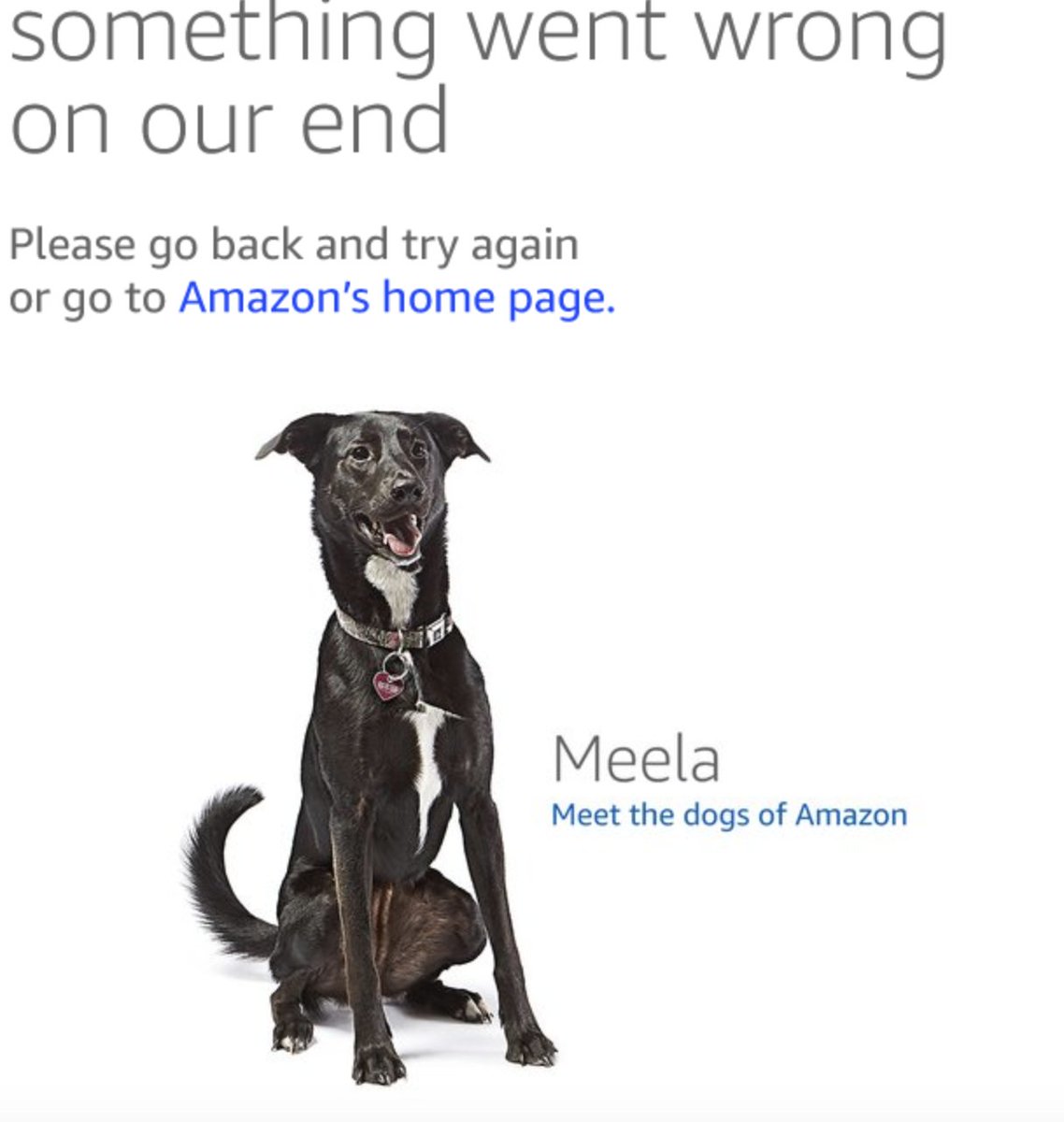 Amazonエラー犬コレクション Togetter Amazonエラー犬コレクション Togetter