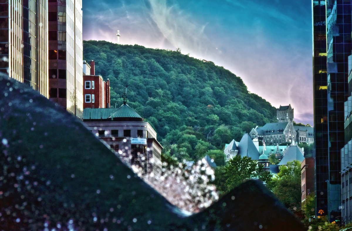 mtltips's tweet photo. A Beautiful Photo of Mont-Royal, taken from McGill Street.
#McGill #Montreal #Quebec #Canada #ExploreCanada #QuebecOrginal #MTL #MTLtips #MTLmoments #Monday #MM https://t.co/ErGbqnulFX
