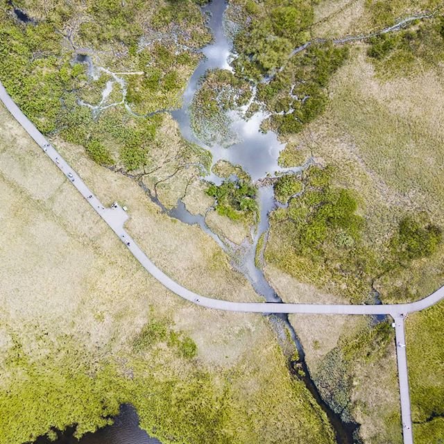 BrightonResort's tweet photo. Not your avarage view of the Silverlake board walk.. Photo reposted from #brightonresort.
.
( #๐ท @pjenkiss )
.
#fromabove #drone #brightonutah #brighton #silverlake #utahphotographer #utahnature #travelusa #travel #forest #green #nature #dronephotography #mavicpro https://t.co/y2OV4urp8o