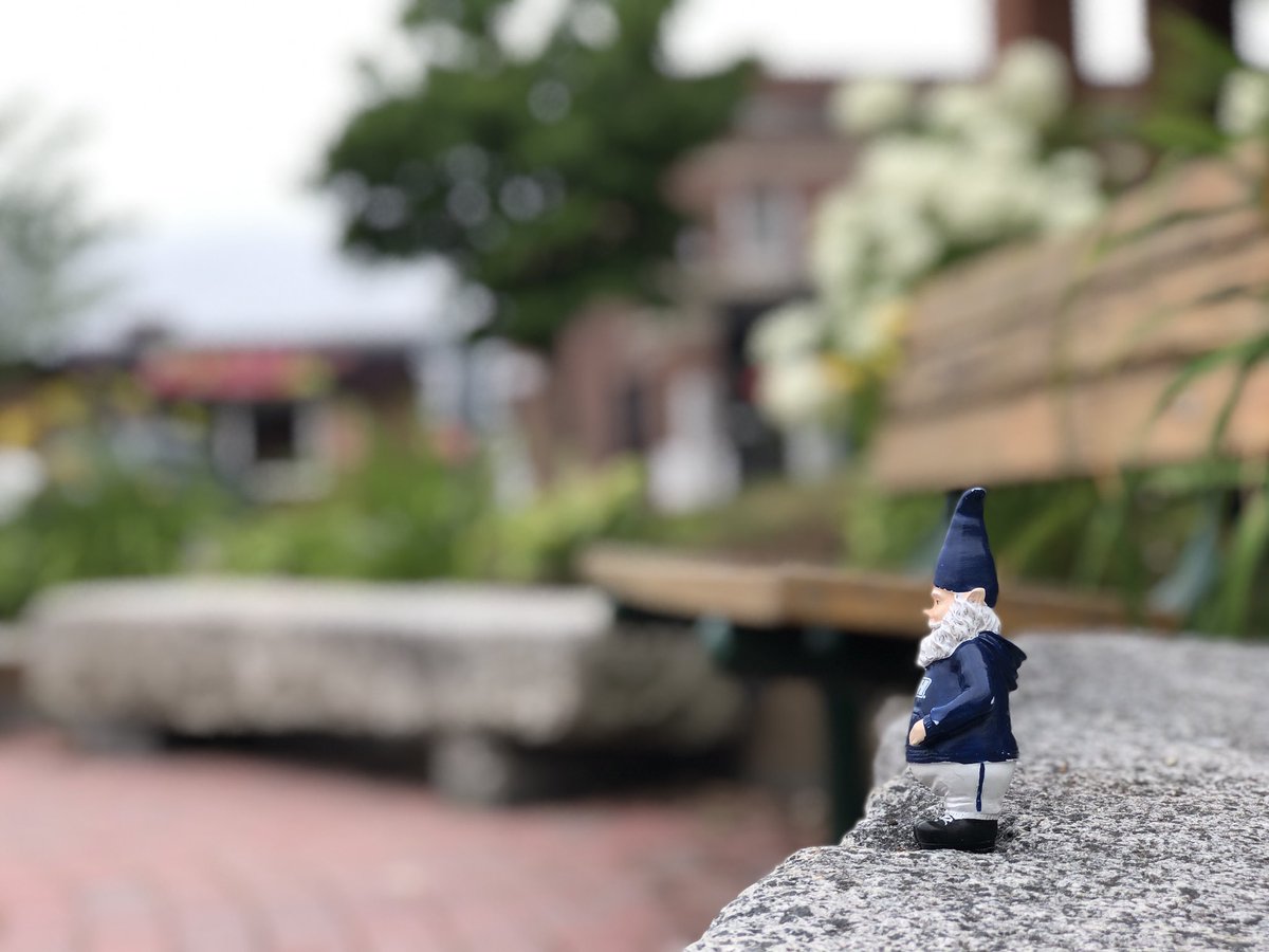 LordSnively's tweet photo. Enjoying a bit of summer solitude in downtown #DurhamNH 🌱 @UofNH @UNHStudents @CelebrateDurham https://t.co/Ry9B3vM8rd