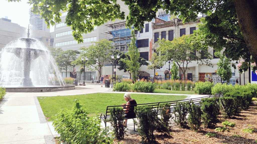 HamOntGore's tweet photo. With so much revival in #Hamont &amp; around #Gorepark I winder when it will be my time to shine? ....ready! https://t.co/rDAZgd1ROM