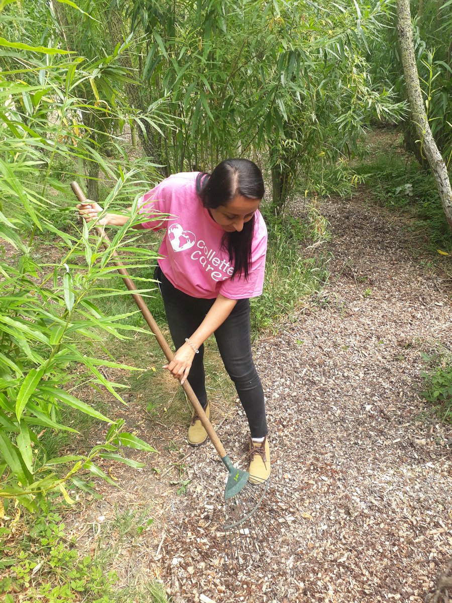 JFrancis_TTG's tweet photo. TTG's @JasveerMehay takes bark placement seriously when volunteering with @ColletteTours at Wild Willow Tree centre #collettecares #jasveercares #teamttg https://t.co/imm2T7p4zN