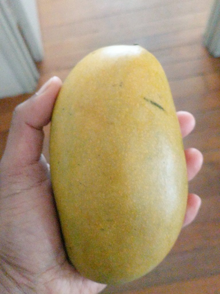 theebarajan's tweet photo. Neelam mangos from #coconuthill! #indianmangos https://t.co/JmBOe3ivqY