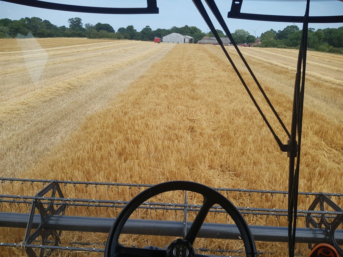 HarryGrant765's tweet photo. First day of harvest 18 done https://t.co/xayXxBwQev