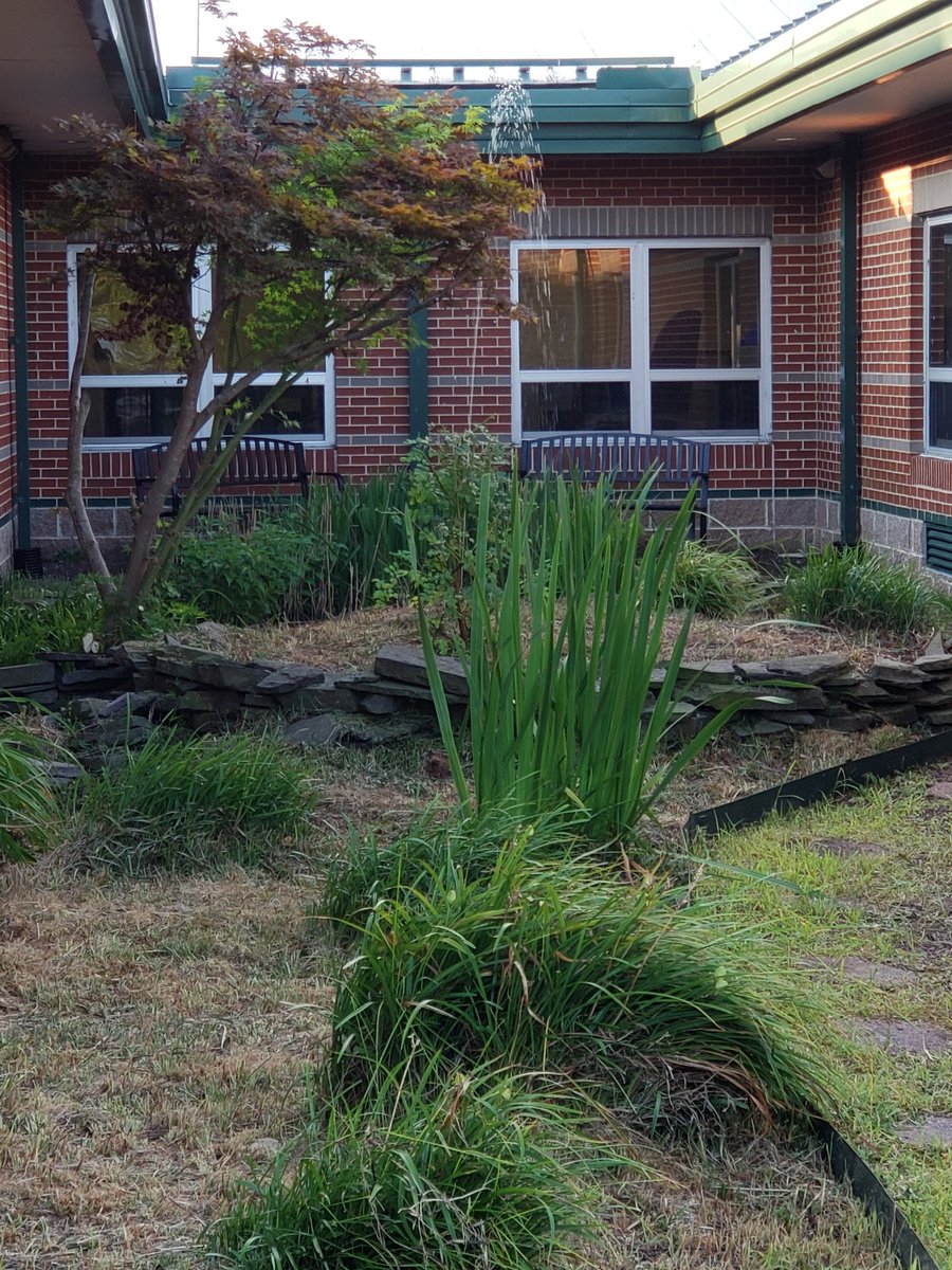 North Georgetown Elementary tweet media