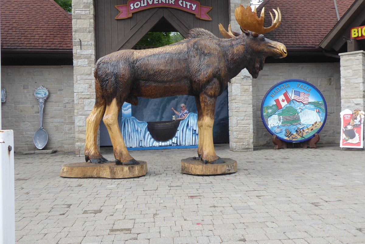 SuttonSnaggles tweet media