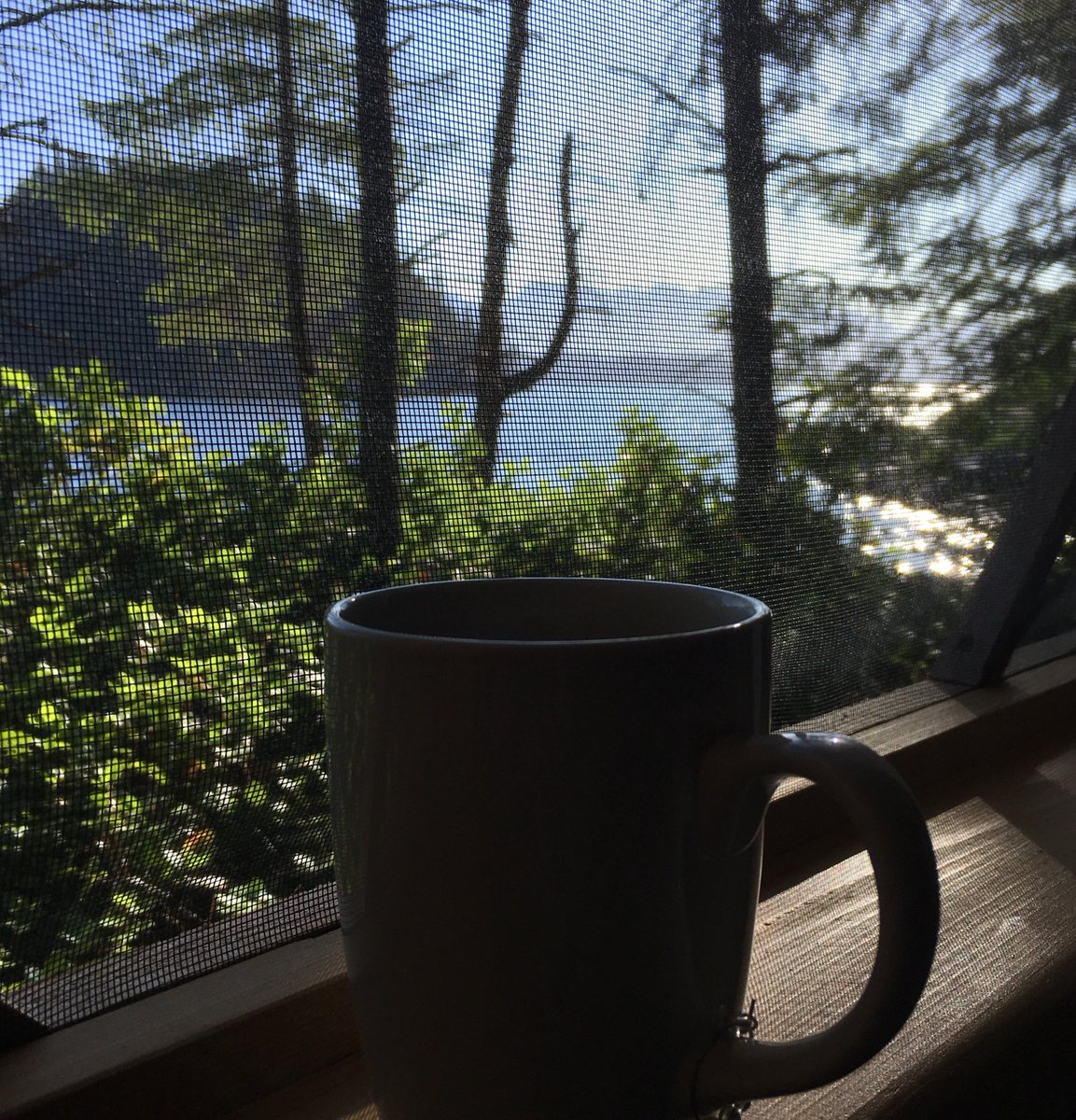 DrRitaMc's tweet image. So long, #DesolationSound! 

Thanks to the Tla'amin and Klahoose stewards of this place and the talented people @bcseakayak (especially: Jo, Graham, Curtis). We had a great time.
#WeWillBeBack
@HelloBC