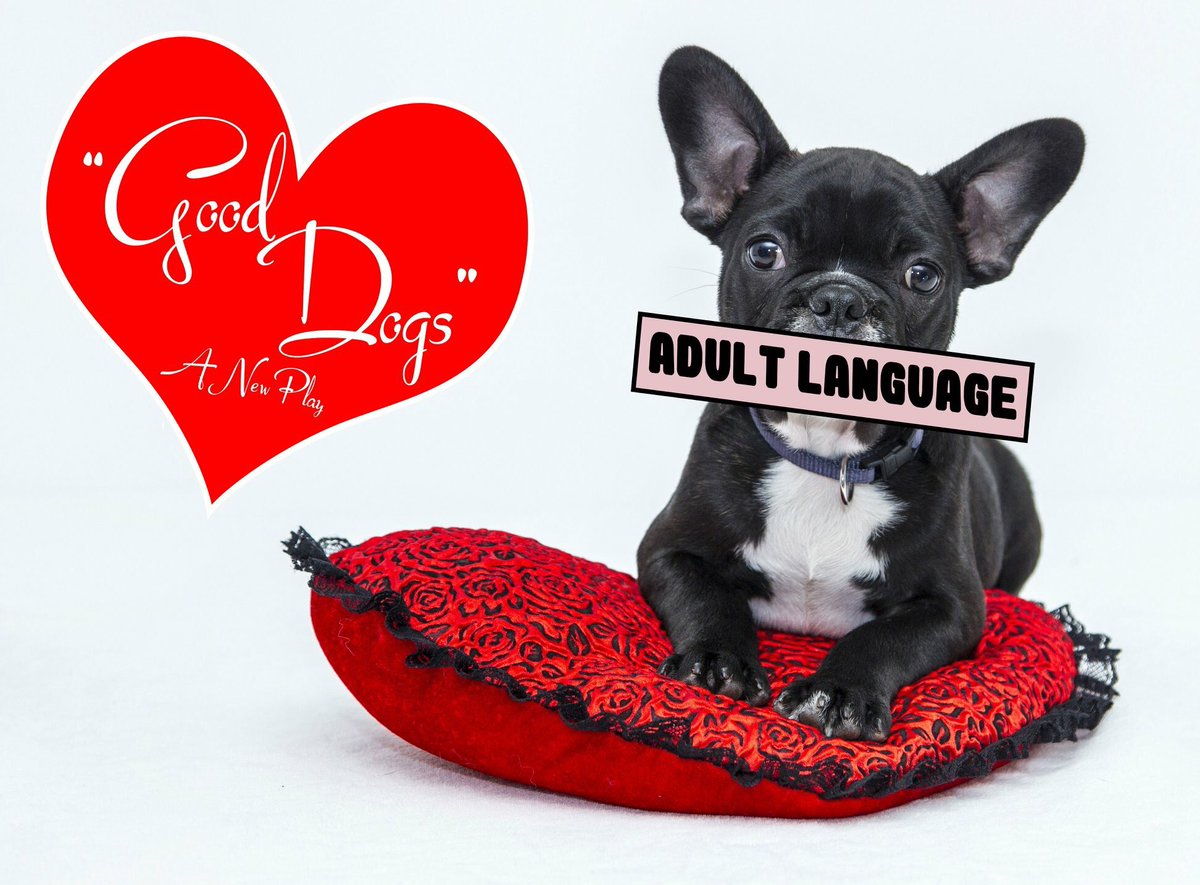 ClassAct_Co's tweet photo. Good Dogs opens this Friday! How exciting!!
(Please be aware that these dogs drink from the toilet and have very bad potty mouths)

Get your tickets: https://t.co/YY1POLDIxU https://t.co/FU1MptZtEN