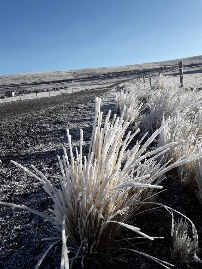 Senamhiperu's tweet photo. #WhatsappSENAMHI Nevada ocurrida en la ciudad de Imata, Arequipa el pasado fin de semana, tal como se advirtió en el aviso meteorológico (Foto: T. Calachua). Comparte fotos y videos de las condiciones del tiempo en tu localidad. #ElPerúPrimero https://t.co/168O1d0q0p