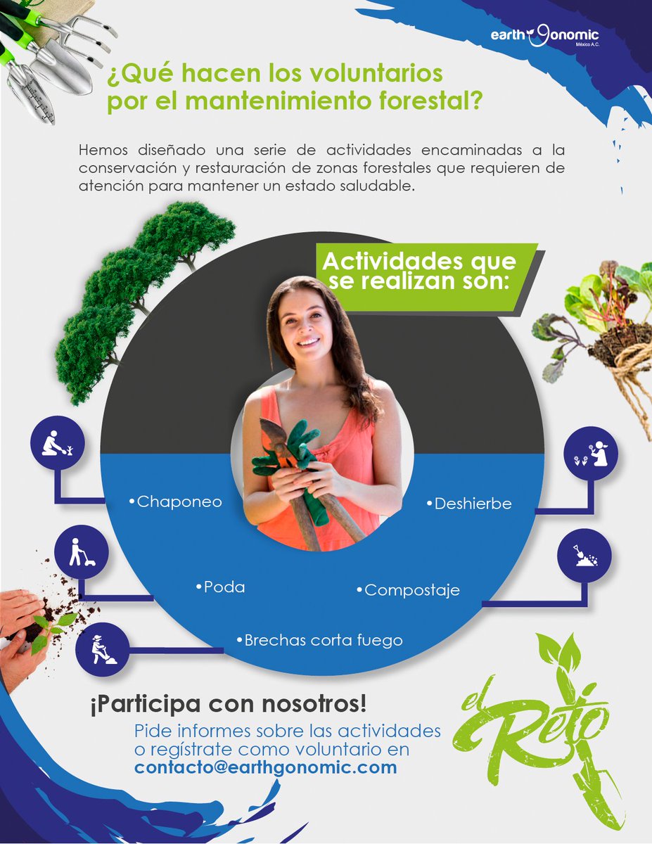 Earthgonomic's tweet photo. Nuestras acciones no terminan en plantar un arbolito. 
Necesitamos trabajar en el mantenimiento de nuestros bosques. ¡Realiza tu jornada de voluntariado con nosotros! https://t.co/29GdGMUCOm
