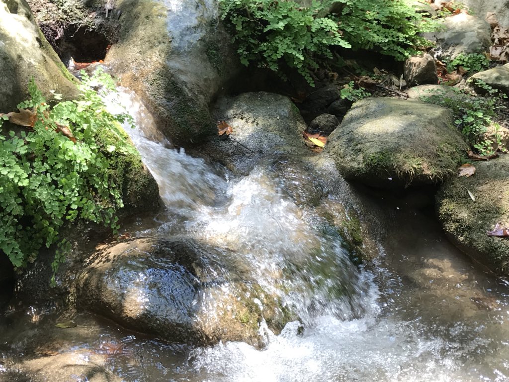 MissPitufita's tweet photo. Beautyful Samos! #samos #samosisland #greece https://t.co/zF4JFjjWhF