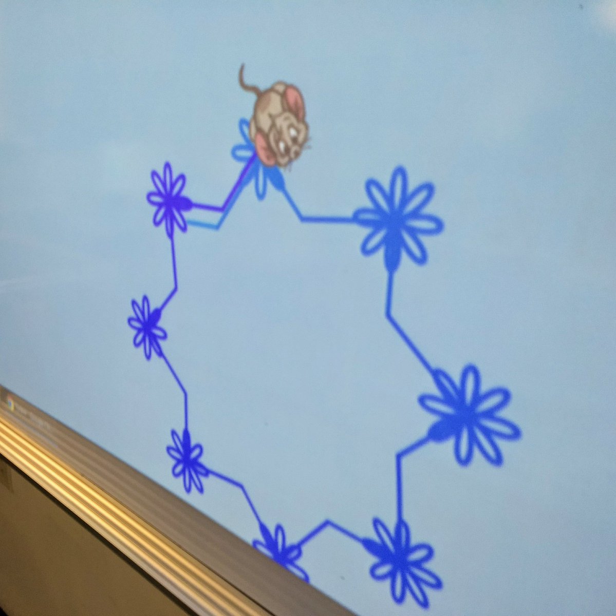 PatErrico's tweet photo. #SummerSchool2018 5th graders enjoy #coding with our pal Whiskers the mouse! Students are writing code and thinking outside the box to develop their problem solving skills. 
@napolitania21 @Asbury_ParkSD https://t.co/c1n0Og5OC2