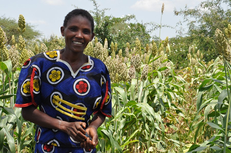 Small-scale farmers can make the agricultural sector stronger. How can we better integrate them into markets? wrld.bg/VT1X30gfCAG