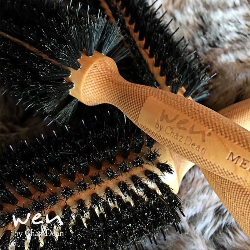 Boarbristlebrush Hashtag On Twitter